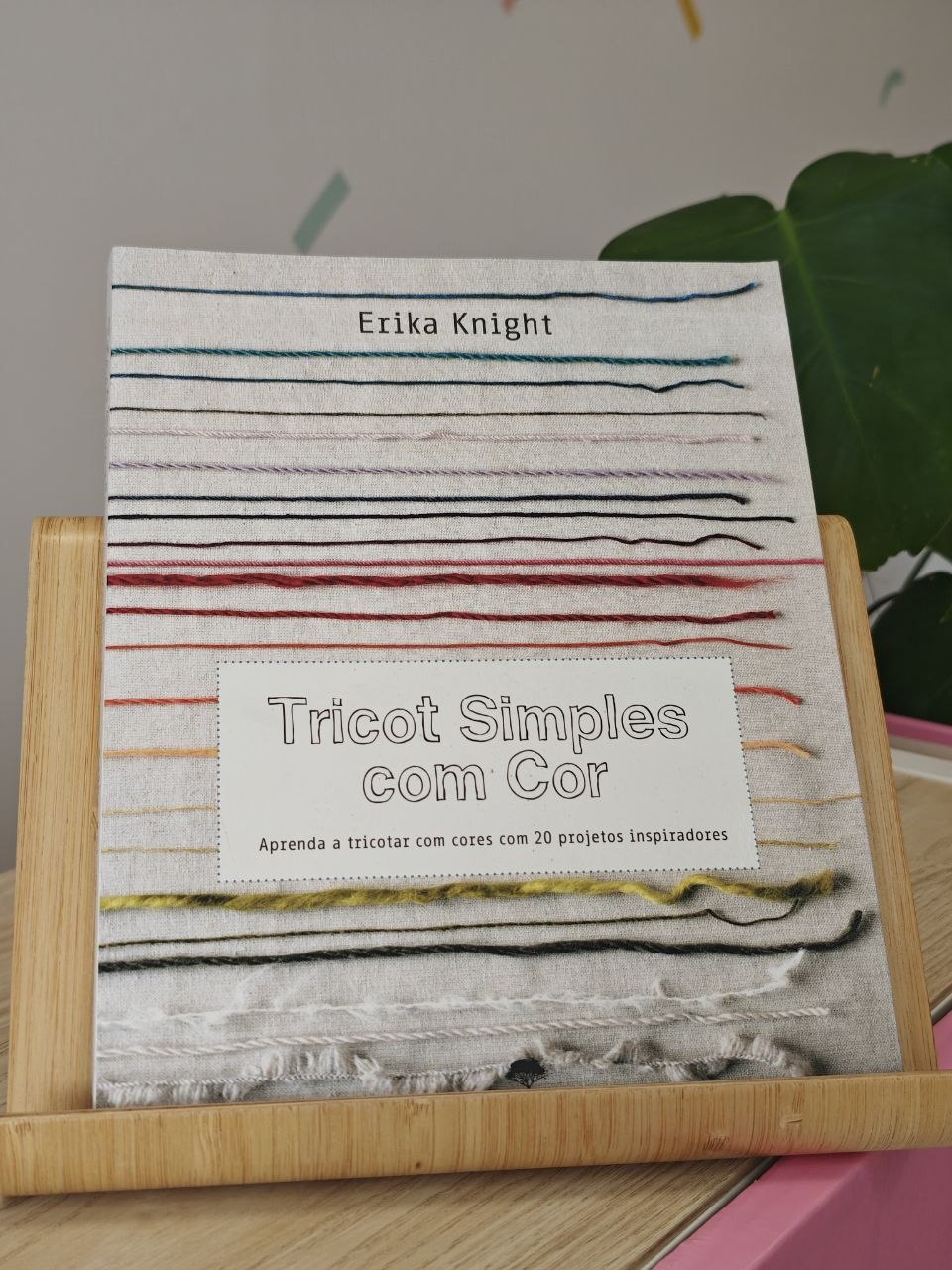 Tricot Simples Com Cor